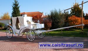 Inchirieri trasuri