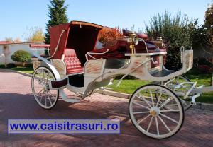 Inchirieri trasuri