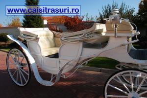 Inchirieri trasuri