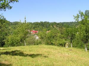Teren Bughea de Jos