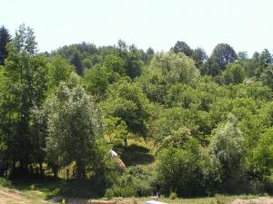 Teren Bughea de Jos