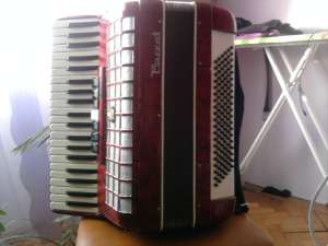 VAND ACORDEON PARROT 120 BASI