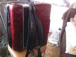 VAND ACORDEON PARROT 120 BASI
