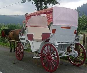 Vand Trasura Confectionez la Comanda Trasuri