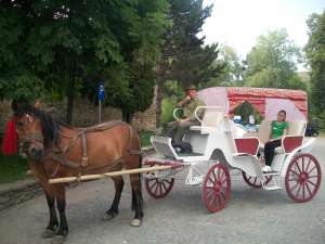 Vand Trasura Confectionez la Comanda Trasuri