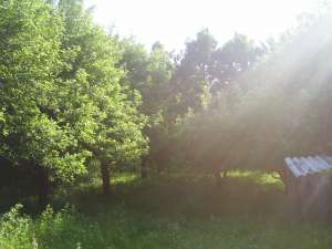 Vand 18000mp teren in BILCESTI,  5 kM DE Campulung Muscel; 8000 euro