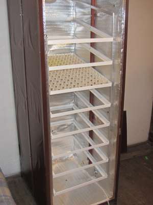 incubatoare oua gaina