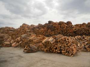 VIND LEMN FOC SI PENTRU CONSTRUCTI