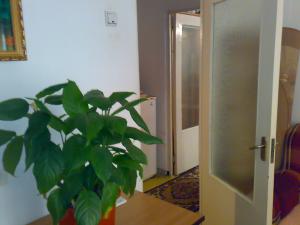 DE VANZARE APARTAMENT 2 CAMERE ET 2