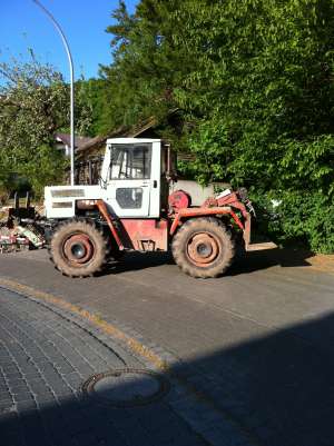 vand taf forestier