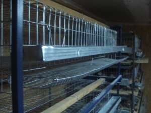 PUI SI PREPELITE