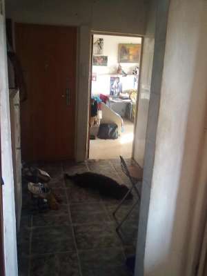 VAND AP 2 CAMERE DECOMANDATE