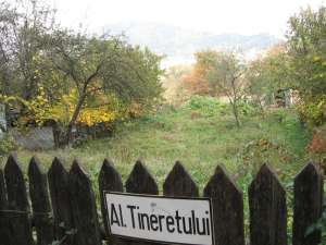 VA  PIATRA NEAMT   VNZARE  2  TERENURI