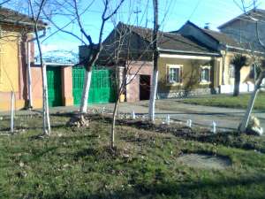 casa cu gradina,  singur in curte;