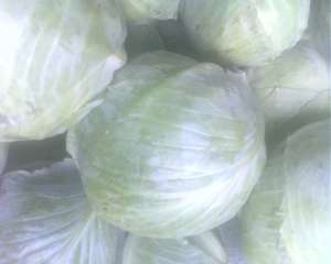 VAND VARZA VERDE DE STOCARE