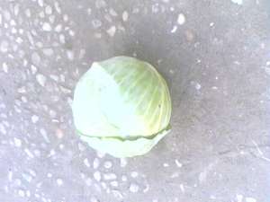 VAND VARZA VERDE DE STOCARE
