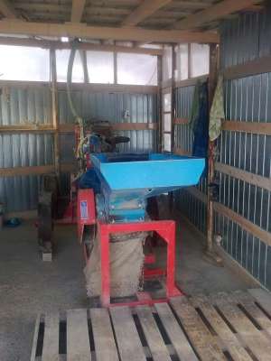 Moara de cereale cu ciocanele fabricatie la bontida mc11