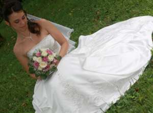 VAND ROCHII DE MIREASA ALFRED ANGELO