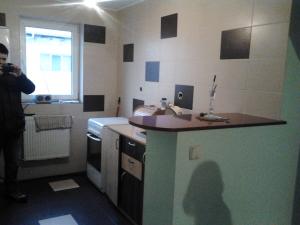 vand apartament mansardat.