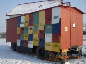 vand vagon apicol