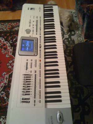 KORG PA2X PRO IMPECABIL