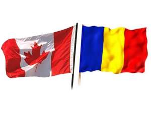 Stoloni si capsuni soiu Cavaleru Canadian