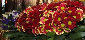 Decoratiuni sali evenimente speciale