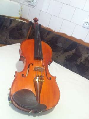 vioara mestru