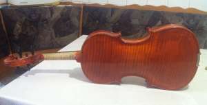 vioara mestru