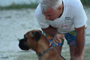 Boxer pentru inperechere