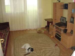 Apartament 3 camere,   Buftea-Studiou,   52mp,   33.000E neg.