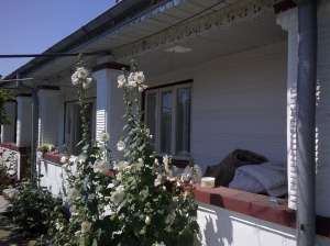 casa de vanzare jorasti-vanatori