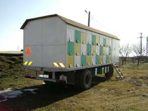 Stupina