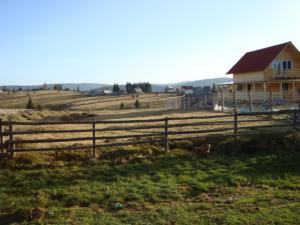 Teren Belis aproape de lac