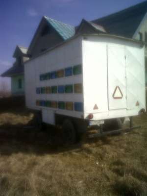 vand pavilion apicol