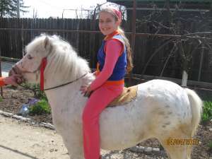 pony apaloosa
