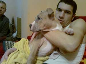 PIERDUT AMSTAFF