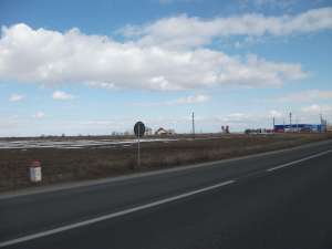 Teren Arad