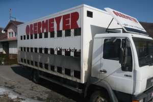 camion MAN L2000 stupina