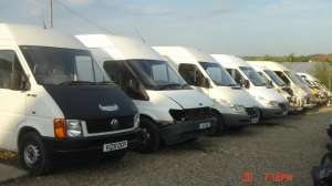 DEZMEMBREZ DUBE MARFA