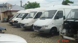 DEZMEMBREZ DUBE MARFA
