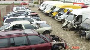 DEZMEMBREZ DUBE MARFA