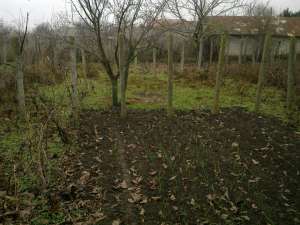 VAND CASA+CURTE IN SEGARCEA VALE - TELEORMAN
