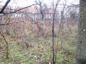 VAND CASA+CURTE IN SEGARCEA VALE - TELEORMAN