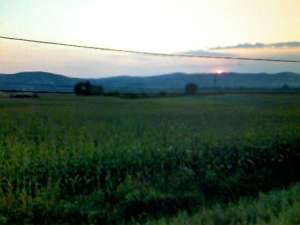 vand teren intravilan 2800 mp