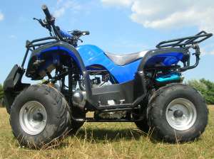 ATV 125 ccm GRIZLY automatic cu marsalier. LIVRAREA GRATUITA IN TARA! Imp. Germania