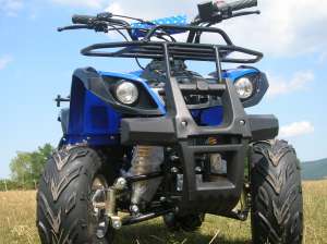 ATV 125 ccm GRIZLY automatic cu marsalier. LIVRAREA GRATUITA IN TARA! Imp. Germania