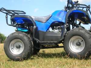 ATV 125 ccm GRIZLY automatic cu marsalier. LIVRAREA GRATUITA IN TARA! Imp. Germania