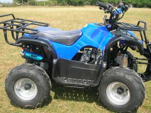 ATV 125 ccm GRIZLY automatic cu marsalier. LIVRAREA GRATUITA IN TARA! Imp. Germania