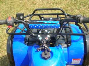 ATV 125 ccm GRIZLY automatic cu marsalier. LIVRAREA GRATUITA IN TARA! Imp. Germania